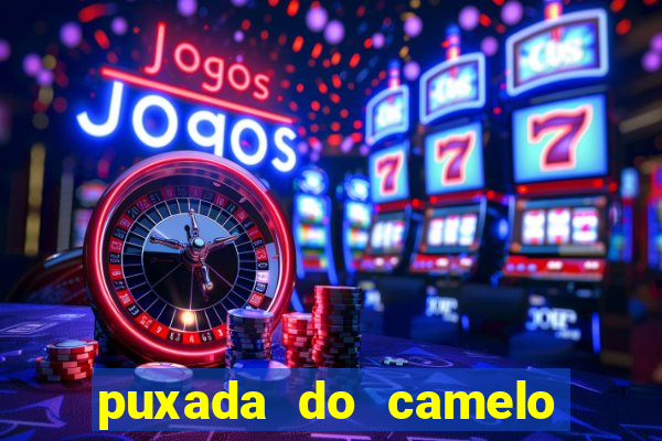 puxada do camelo jogo do bicho